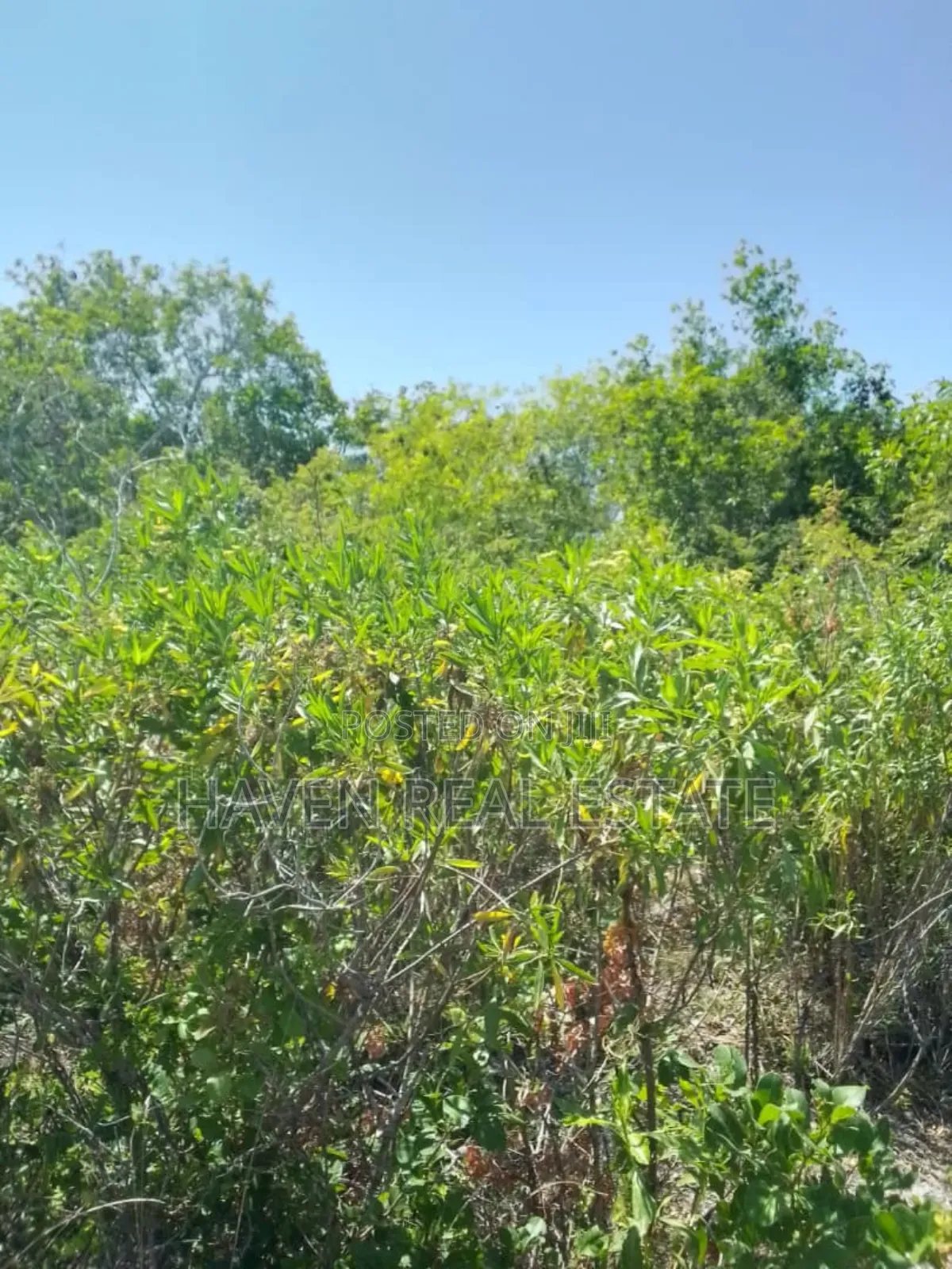 Second Beach Plot for Sale at Zanzibar