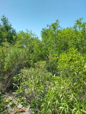 Second Beach Plot for Sale at Zanzibar