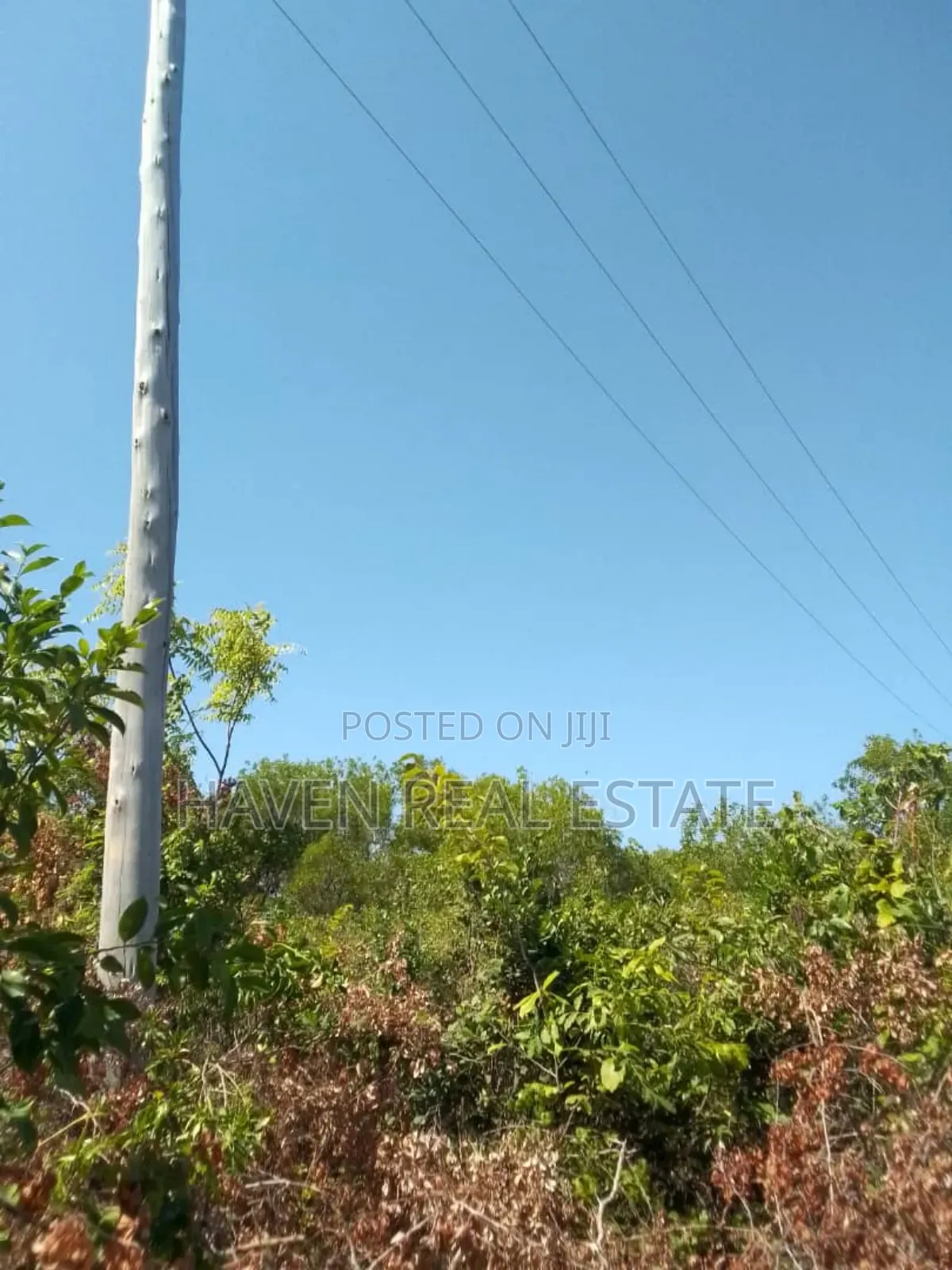 Second Beach Plot for Sale at Zanzibar