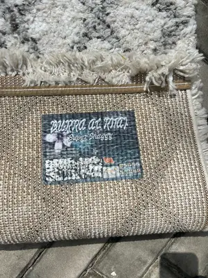 Carpert/Rug