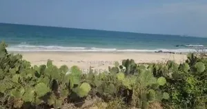 Beach Plot for Sale at Bahari Beach