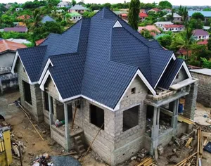 Roofing Your House With Rough Roma Sheets