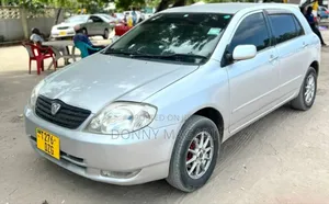 Toyota Allex 2005 Silver