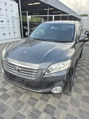 Toyota Vanguard 2009 Gray