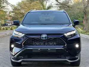 Toyota RAV4 2024 Blue