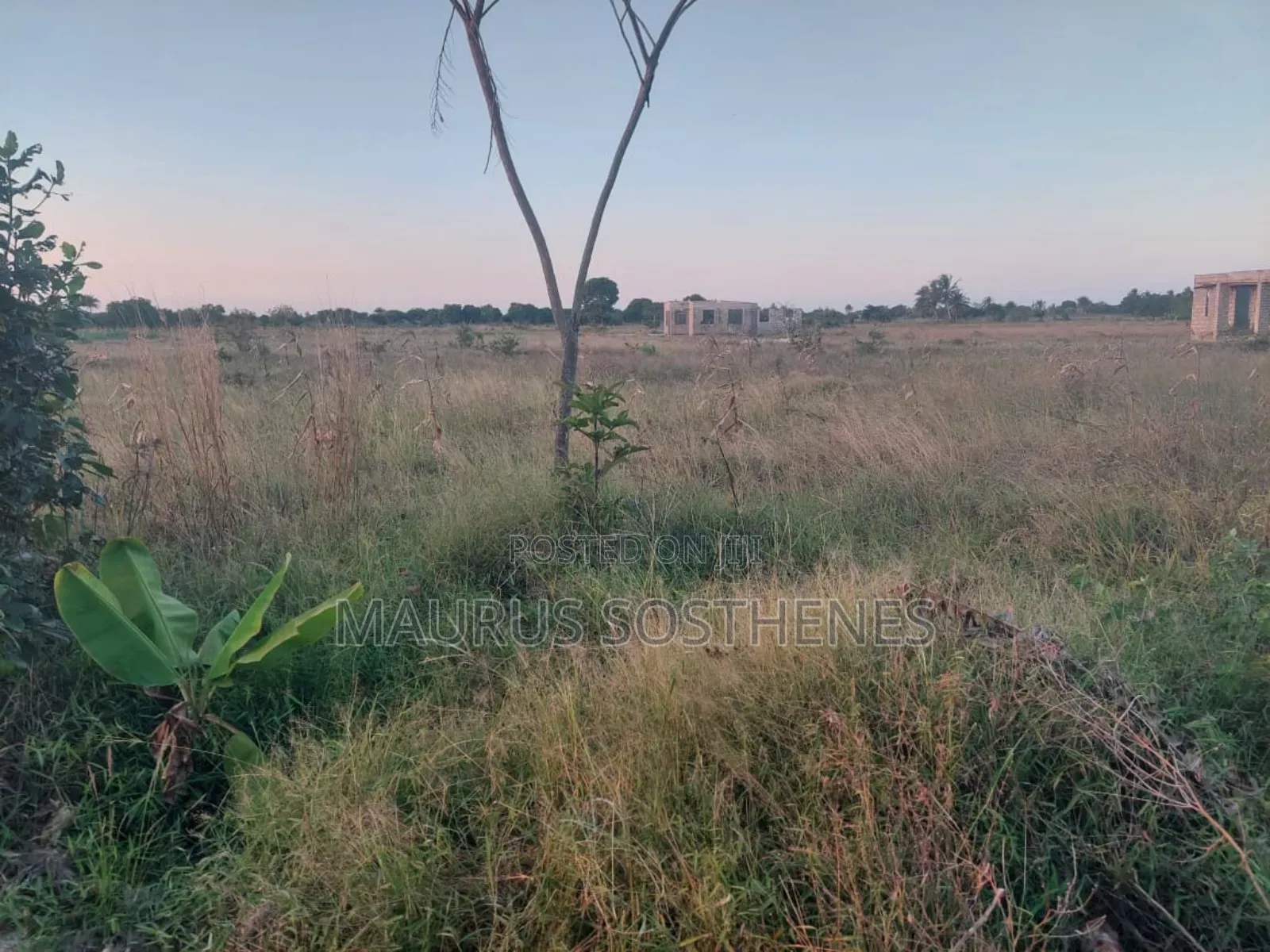 2 Acre's for Sale TSH 100 Mil. At Kigamboni Mwasonga, Dar Es Salaam