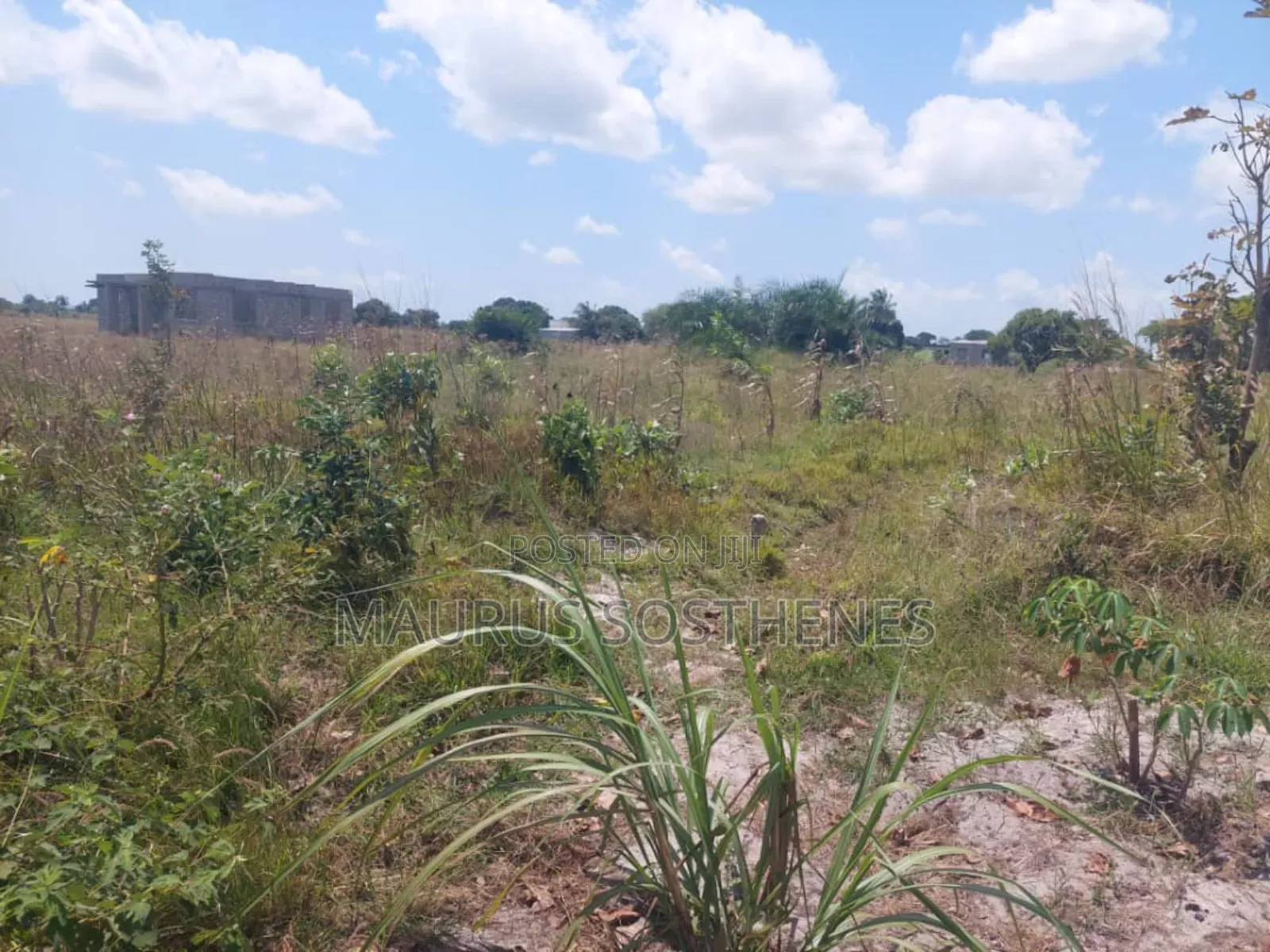 2 Acre's for Sale TSH 100 Mil. At Kigamboni Mwasonga, Dar Es Salaam