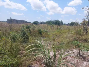 2 Acre's for Sale TSH 100 Mil. At Kigamboni Mwasonga, Dar Es Salaam