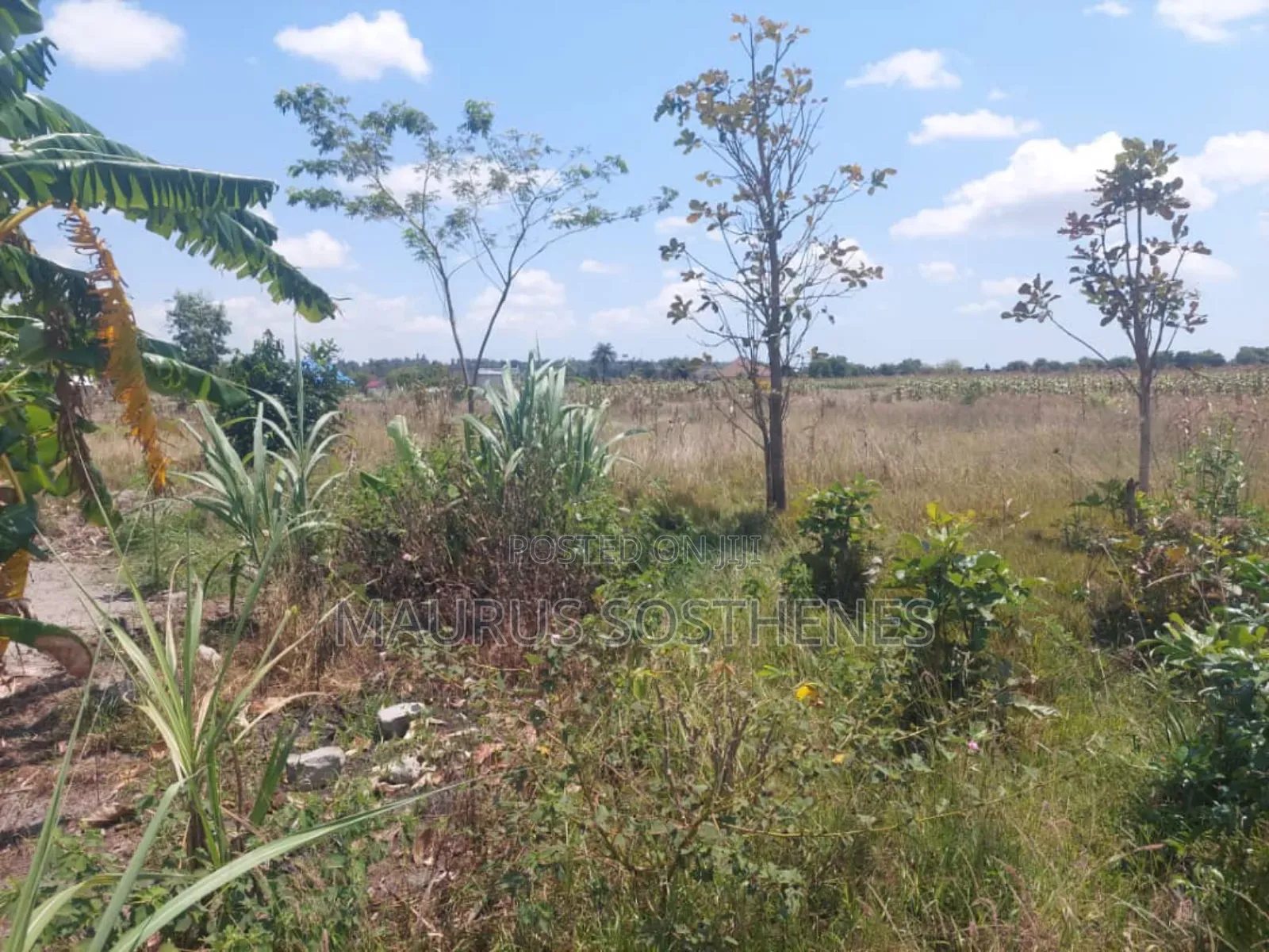 2 Acre's for Sale TSH 100 Mil. At Kigamboni Mwasonga, Dar Es Salaam