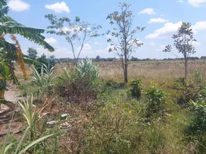 2 Acre's for Sale TSH 100 Mil. At Kigamboni Mwasonga, Dar Es Salaam