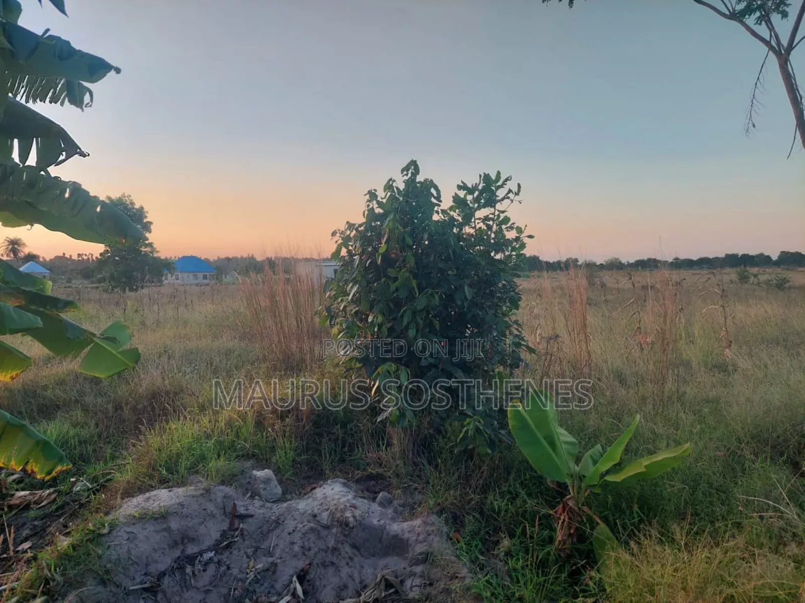 2 Acre's for Sale TSH 100 Mil. At Kigamboni Mwasonga, Dar Es Salaam