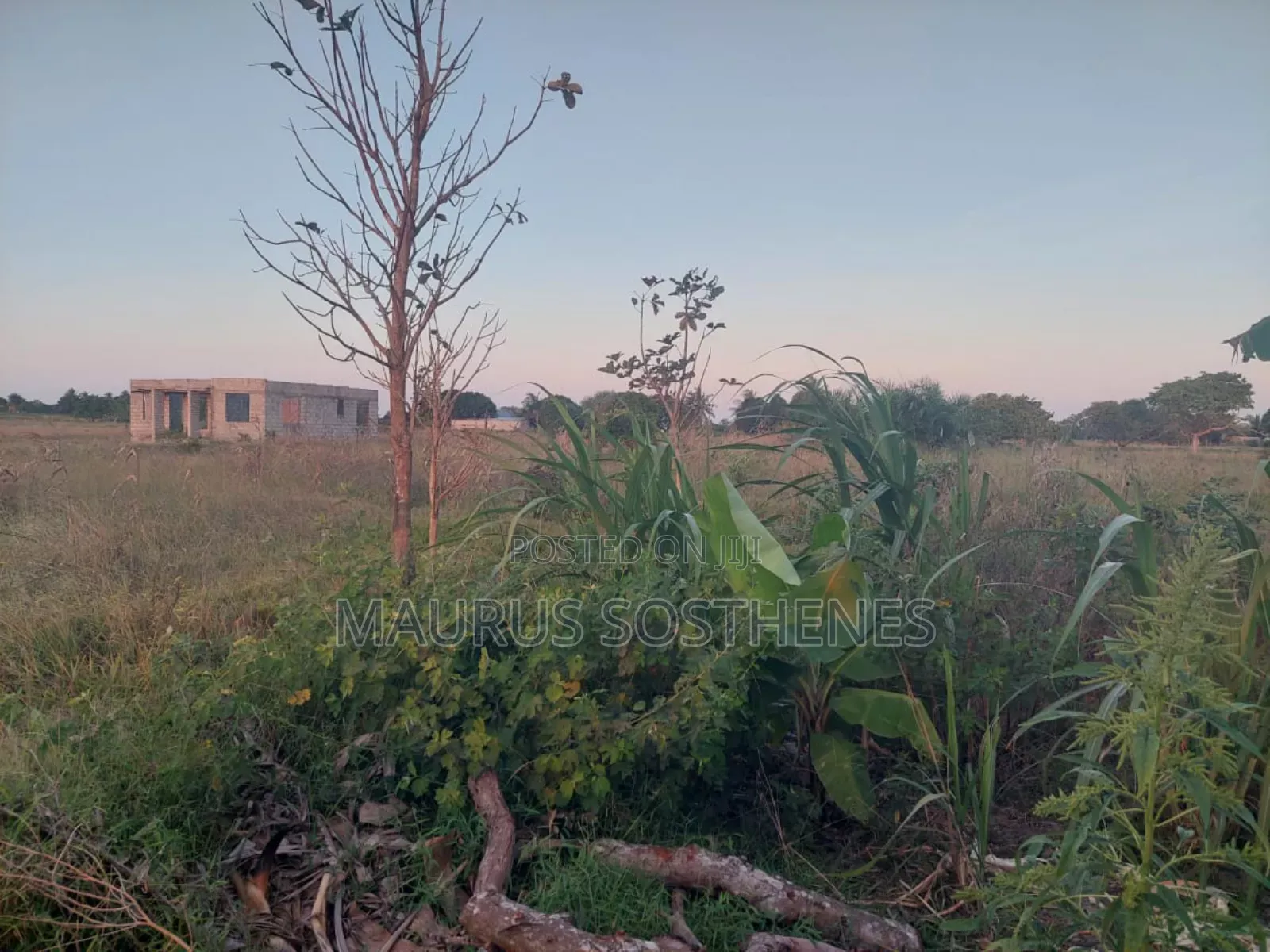 2 Acre's for Sale TSH 100 Mil. At Kigamboni Mwasonga, Dar Es Salaam