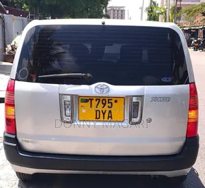 Toyota Probox 1.5 CNG 2WD 2007 Silver