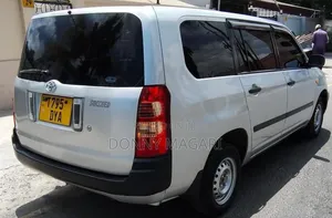 Toyota Probox 1.5 CNG 2WD 2007 Silver