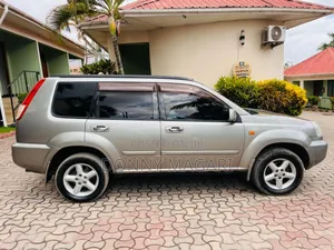 Nissan X-Trail 2.0 2005 Gray