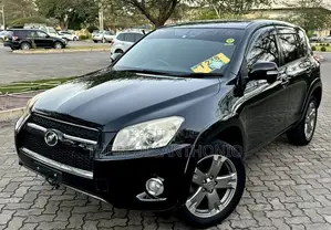 Toyota RAV4 2010 Black
