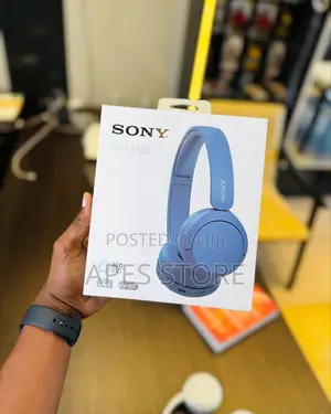 Sony Wh-Ch520