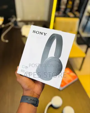 Sony Wh-Ch520