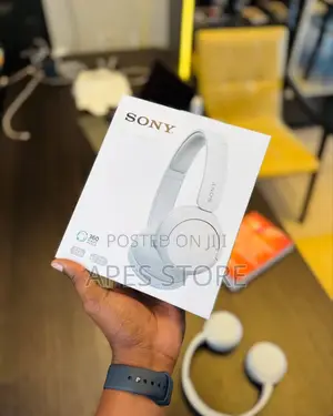 Sony Wh-Ch520