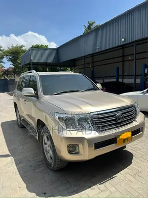 Toyota Land Cruiser 4.5 V8 TD STD 2010 Gold