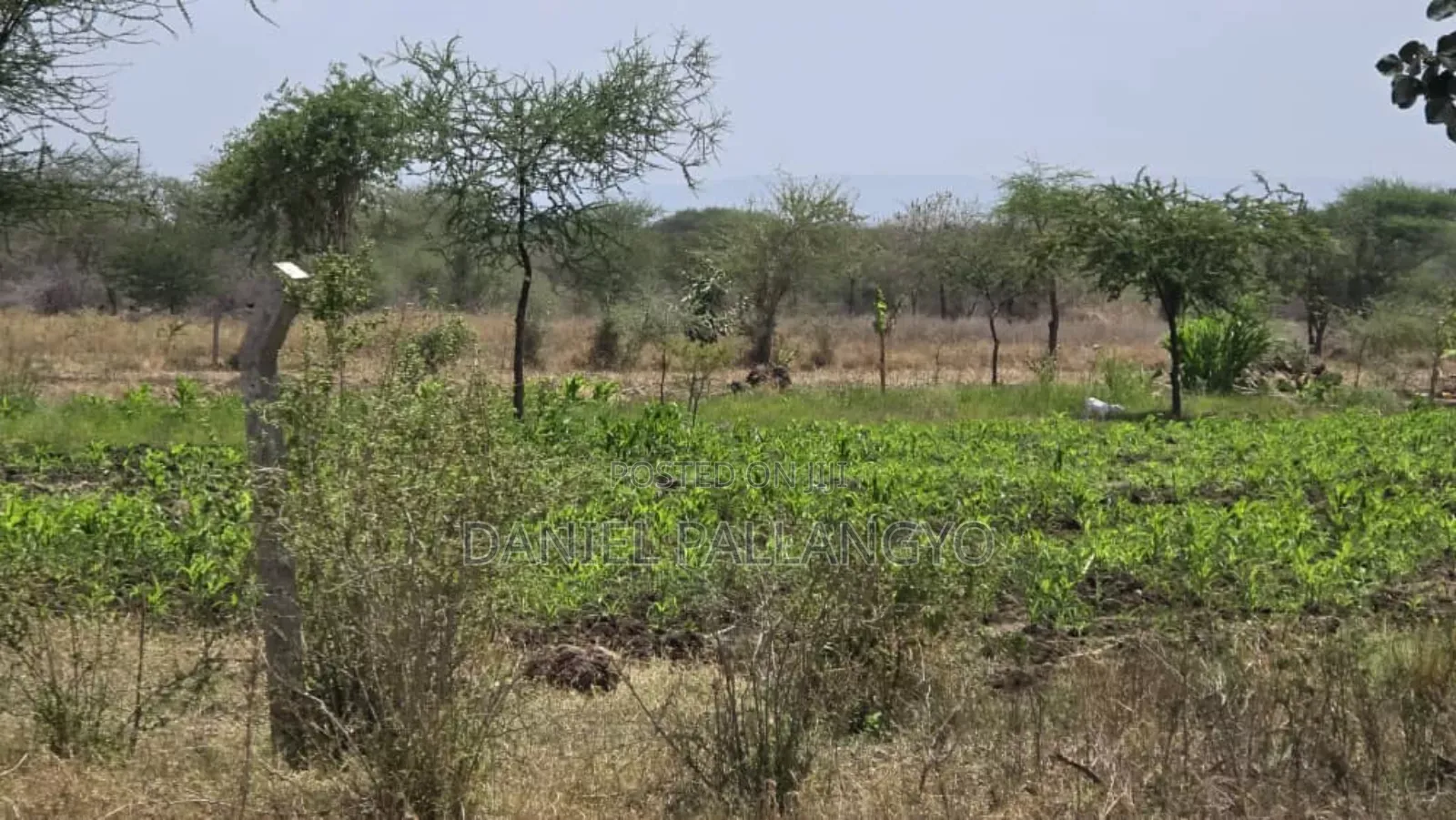 Viwanja Bora Kikwe Arusha