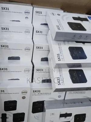 Sx31 Double Wireless Mic