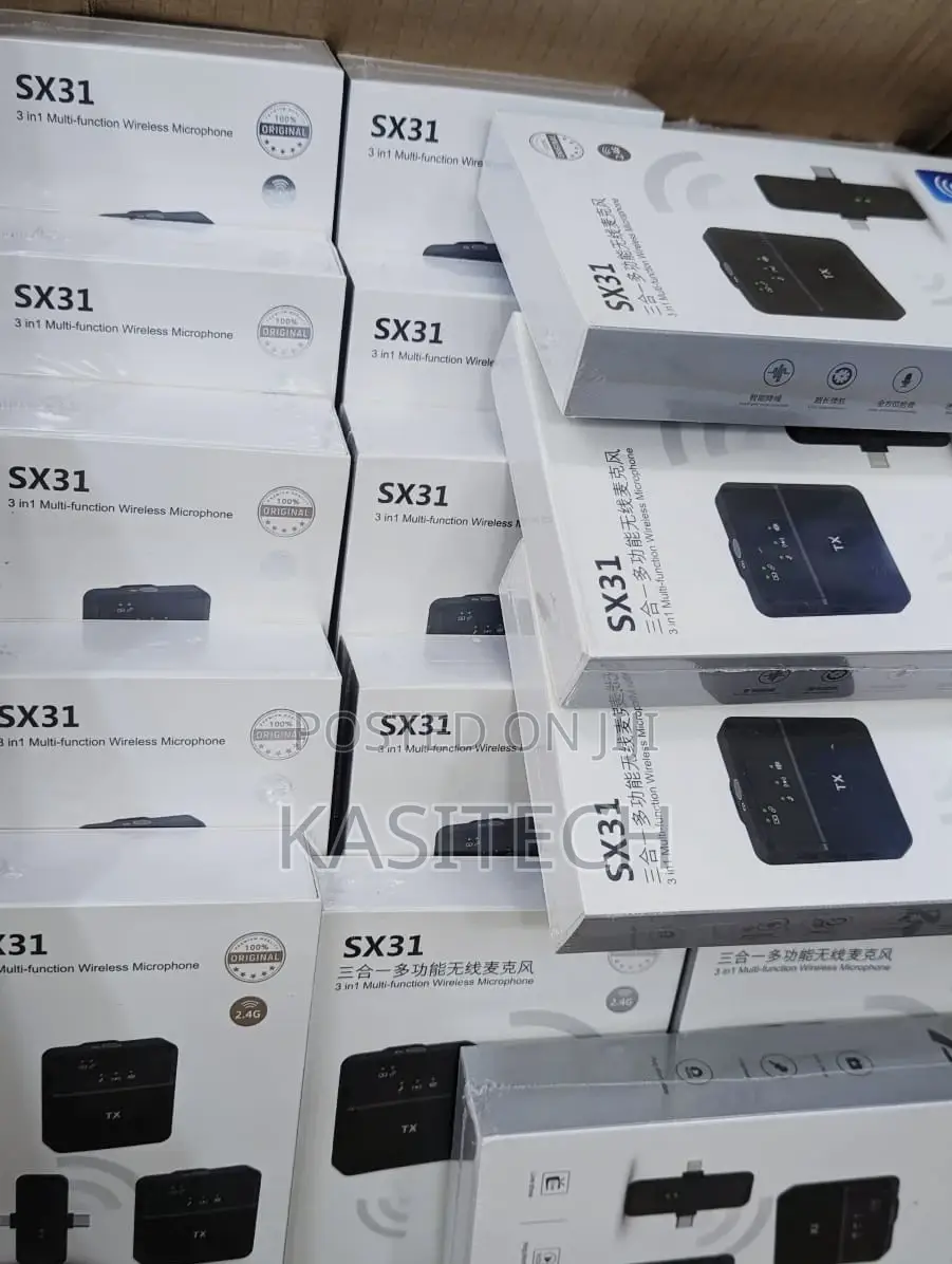 Sx31 Double Wireless Mic