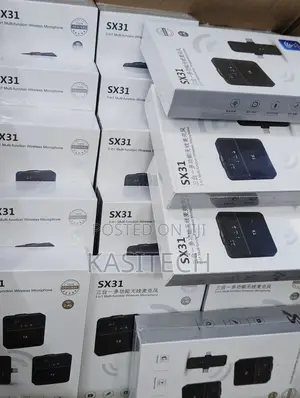 Sx31 Double Wireless Mic