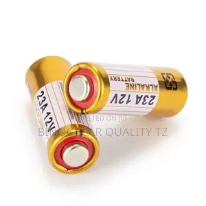 Alkaline Battery