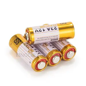 Alkaline Battery