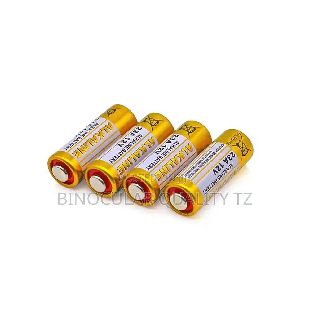 Alkaline Battery