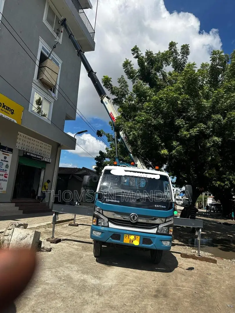New Dong Feng Truck With Crane