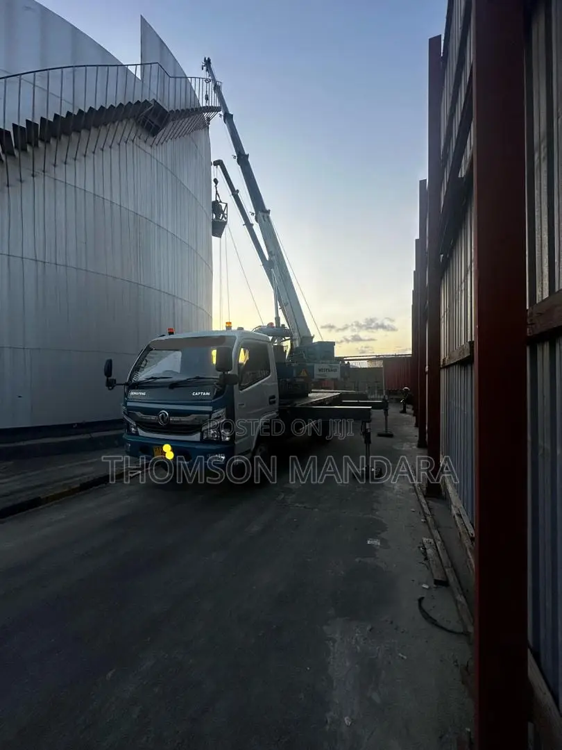 New Dong Feng Truck With Crane