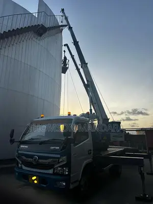 New Dong Feng Truck With Crane