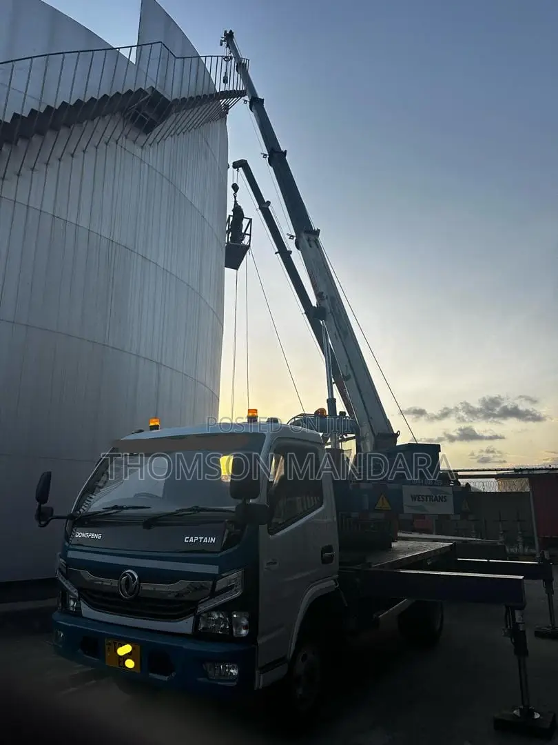 New Dong Feng Truck With Crane