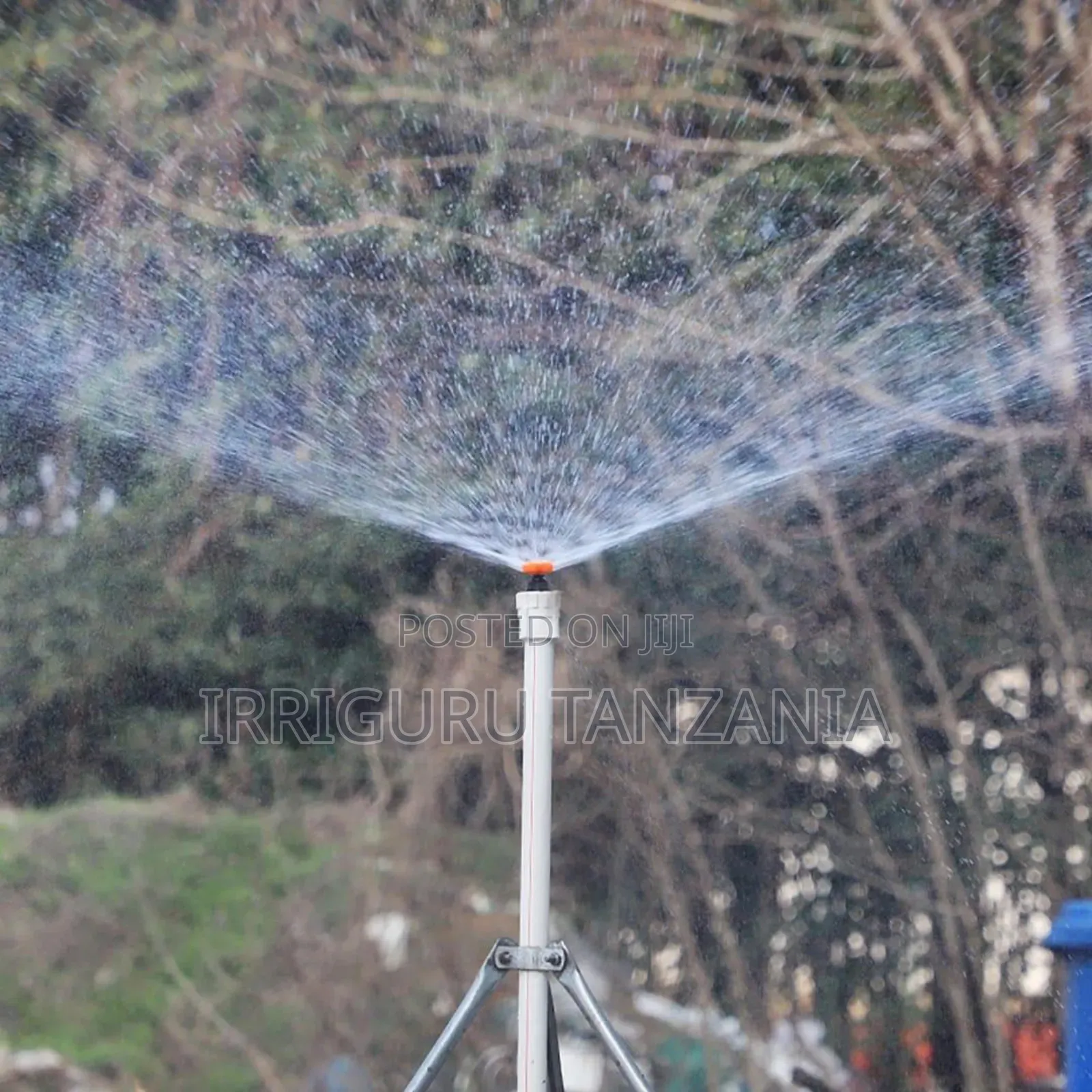 Seedling Sprinkler