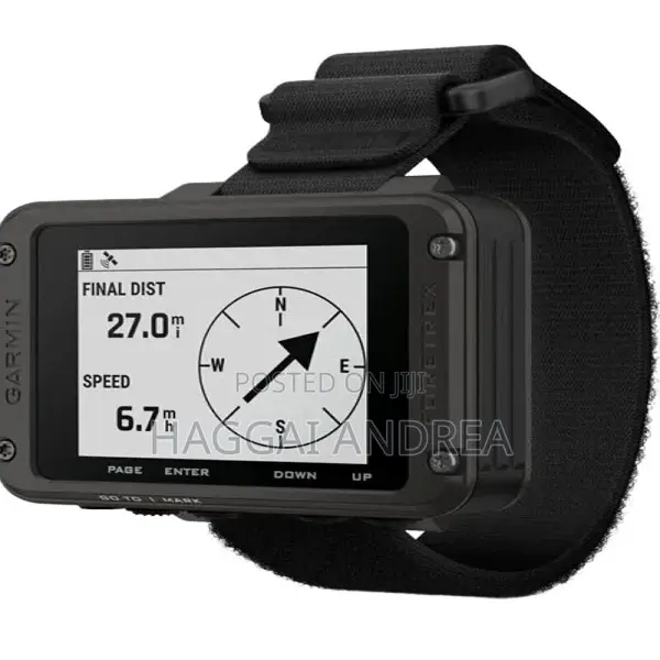 Garmin Foretrex 801