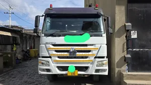 Howo 4*2 Crane Truck RHD (Ehg)