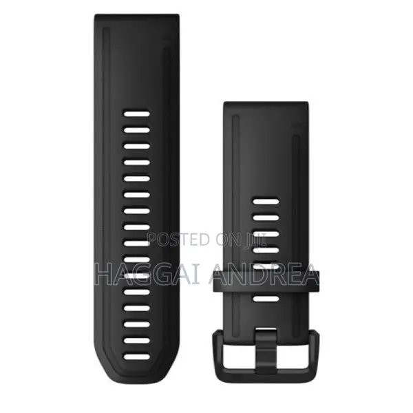 Garmin Quickfit 20 Watch Band