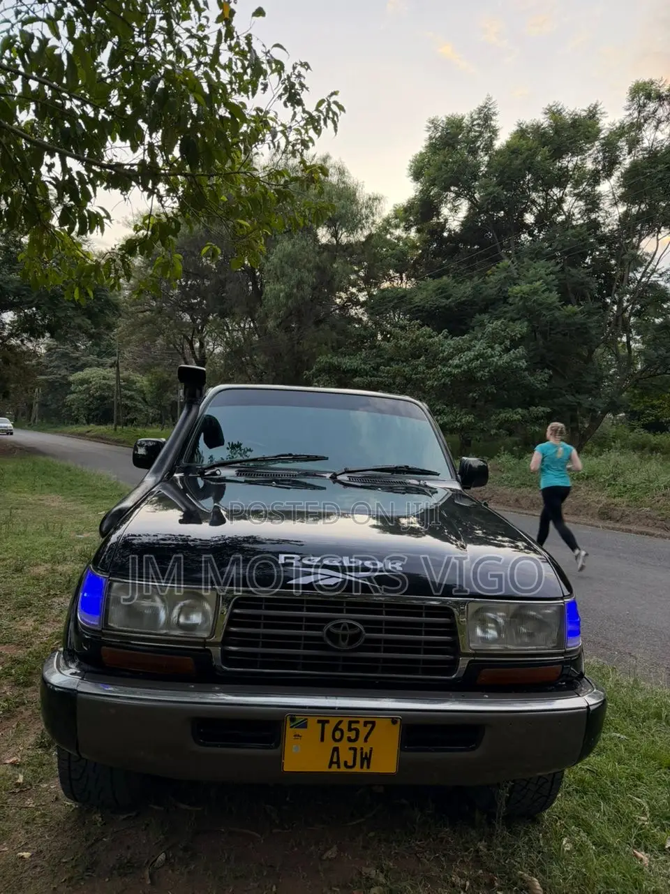 Toyota Land Cruiser 1994 Black