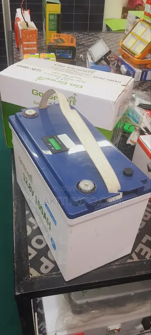 Lithium Iron Phosphate Lifep04 Battery 100ah