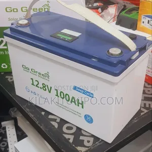 Lithium Iron Phosphate Lifep04 Battery 100ah