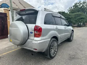 Toyota RAV4 2002 Silver