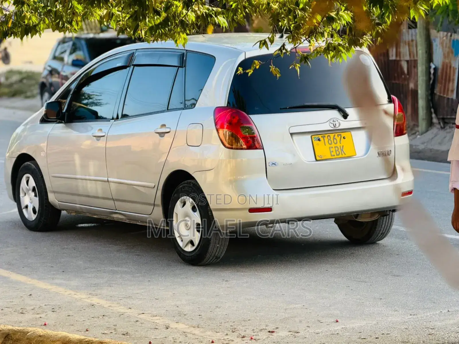Toyota Corolla Spacio 2004 Silver