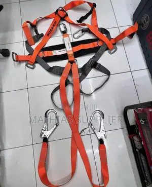 Workman Safety Harness