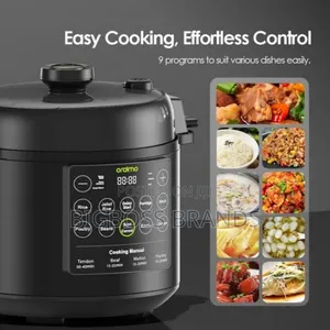 Oraimo Pressure Cooker 6 Liters