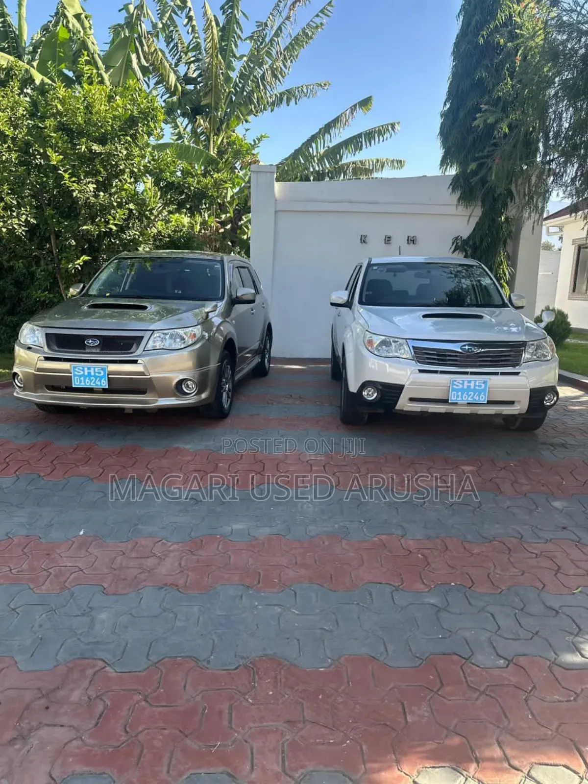 Subaru Forester 2009 Gold