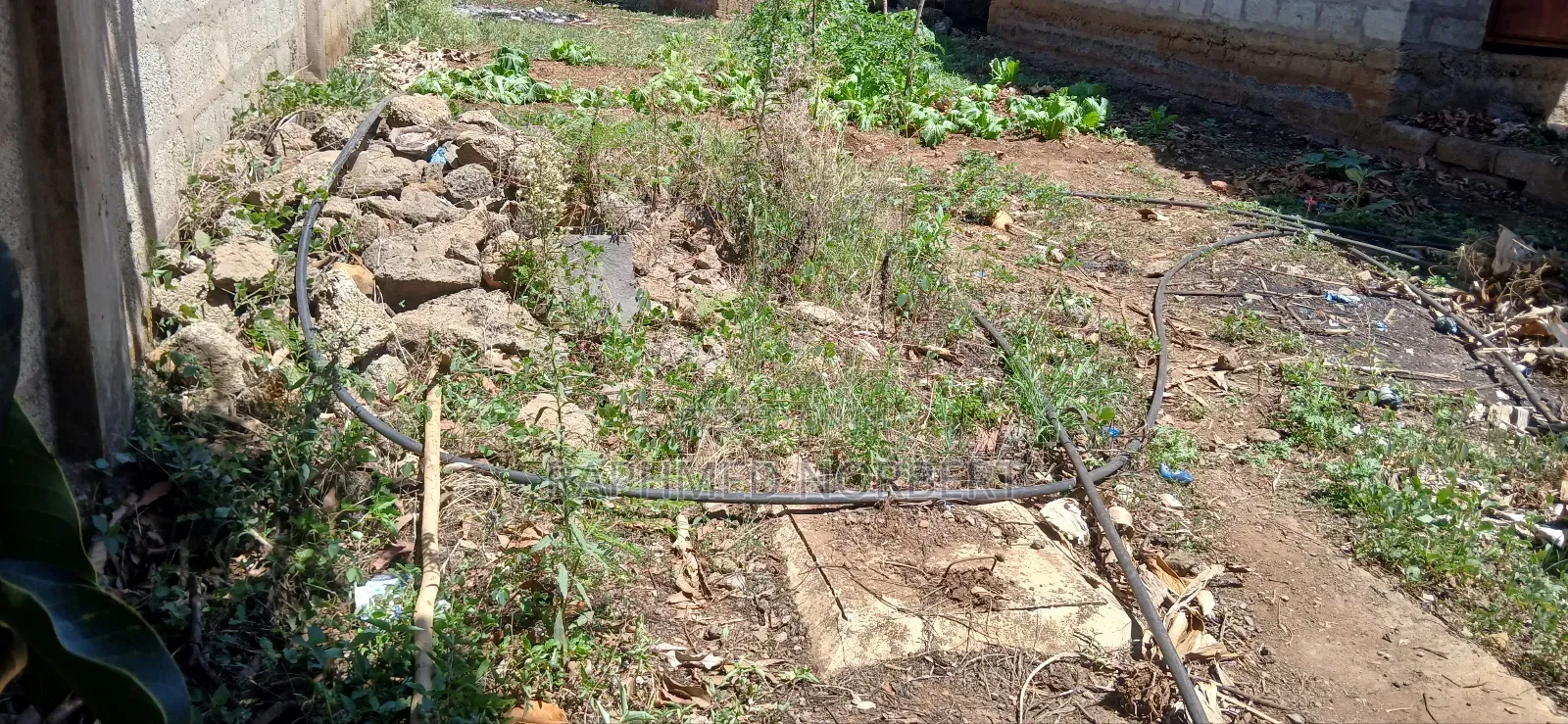 20bdrm Apartment in Tanzania Realestates, Arusha for sale
