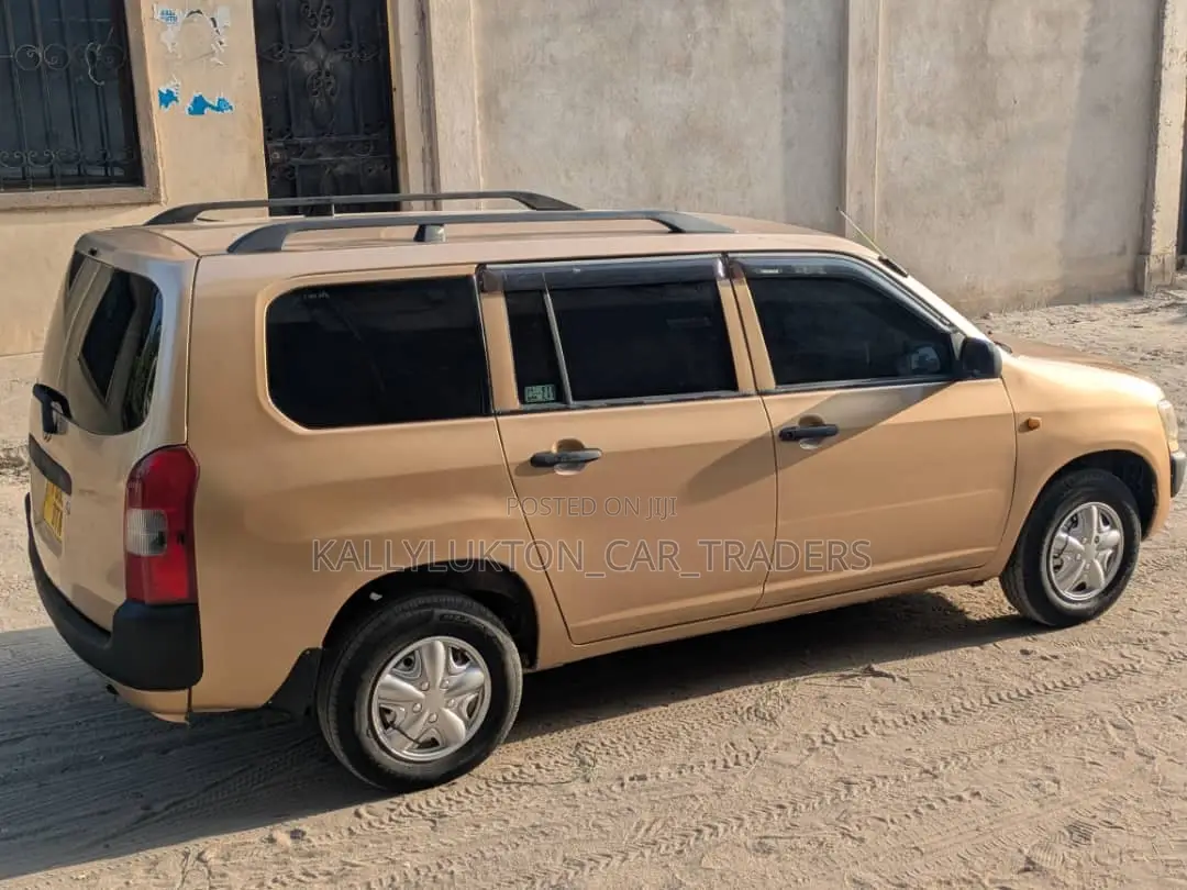 Toyota Probox 2005 Gold