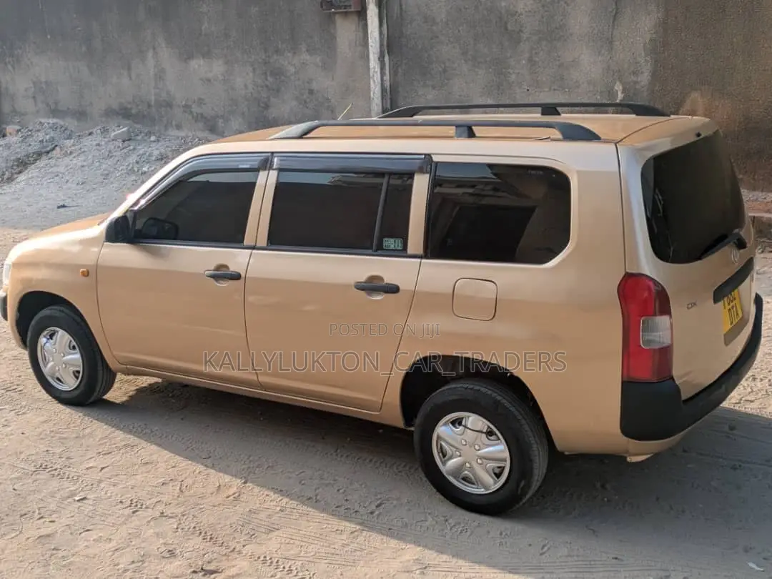 Toyota Probox 2005 Gold
